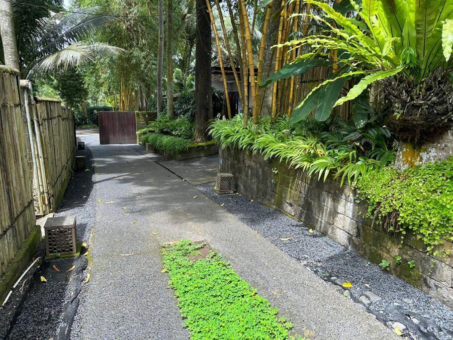 Boho Bellissimo Villa Ubud  Luaran gambar